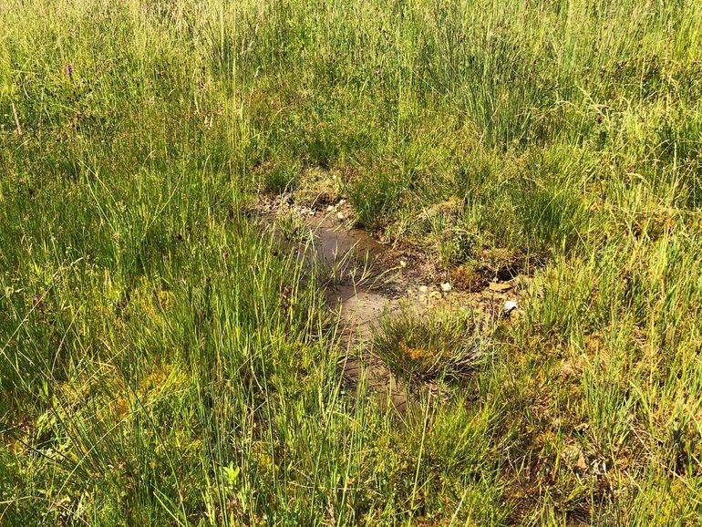 Water stroomt weer in en over de grond