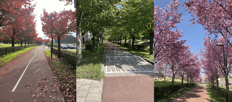 De Vijfwal in de herfst, de zomer en het voorjaar