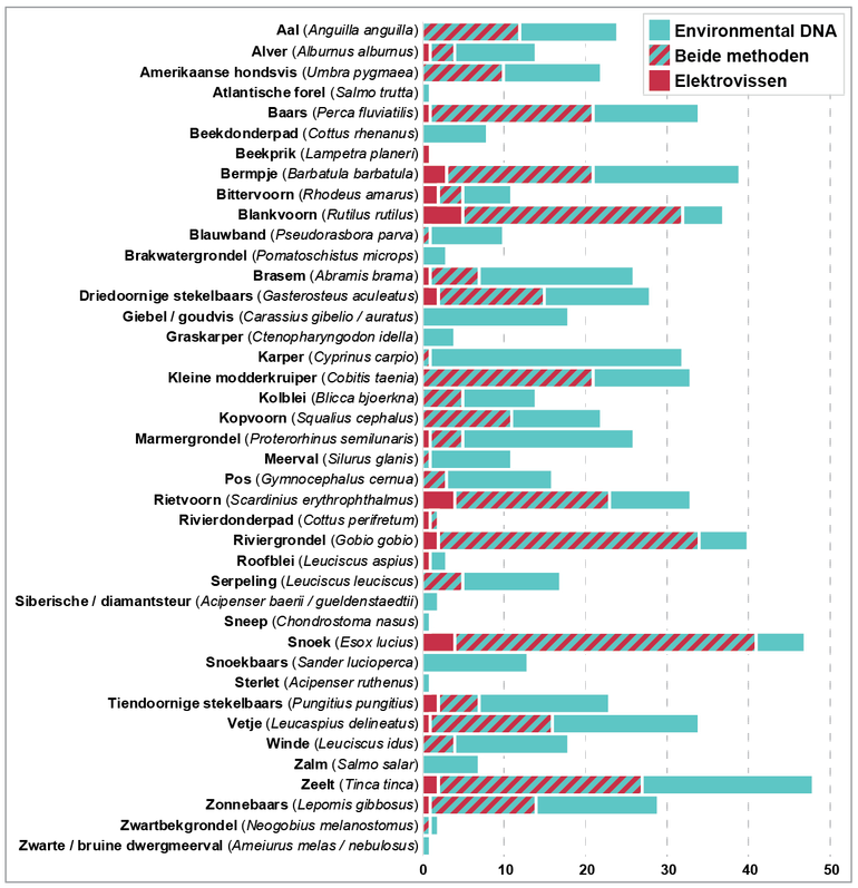 Aangetroffen vissoorten met het aantal locaties waar ze zijn vastgesteld, met elektrovissen, eDNA of met beide methoden