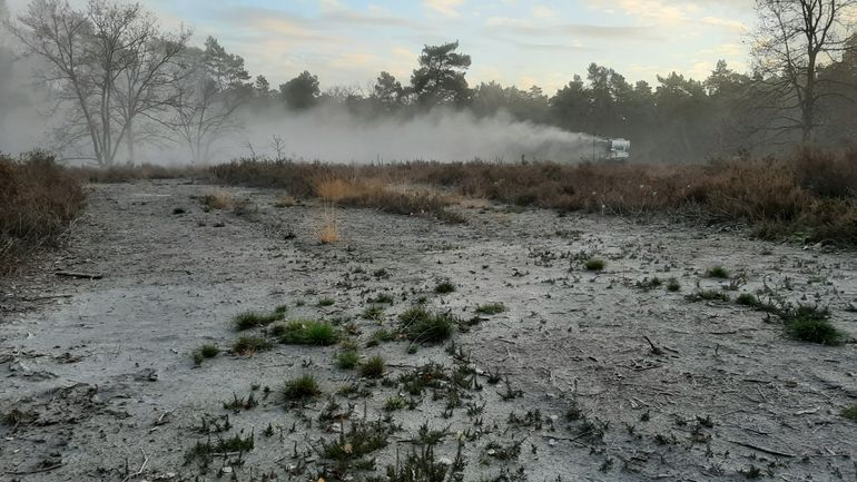 Een blazer verspreidt het steenmeel in het gebied. De waardevolle mineralen in het steenmeel helpen de balans in de verzuurde bodem te herstellen. Omdat de mineralen langzaam vrijkomen, profiteert de bodem nog vele jaren na de verspreiding van de positieve werking