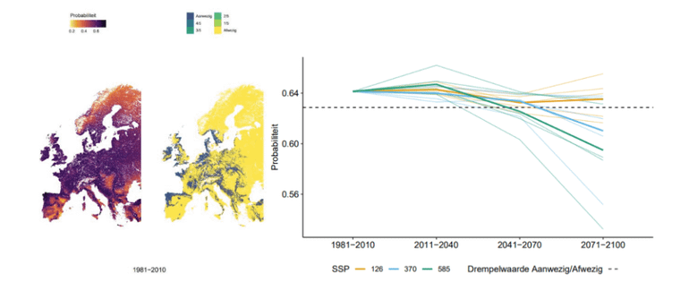 In het project Klimaatbomen is voor een groot aantal boomsoorten gemodelleerd hoe ze in de toekomst kunnen groeien onder verschillende klimaatscenario’s. Dit is de voorspelling voor de verspreiding van de beuk. Ruim de helft van de scenario’s duikt onder de gestreepte lijn. Onder die lijn wordt de groeiplaats niet meer geschikt geacht voor deze soort. De beuk wordt dus mogelijk tegen het eind van deze eeuw een risicoboomsoort