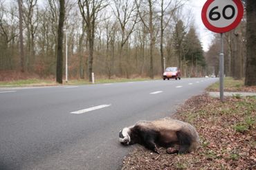 Verkeersslachtoffer