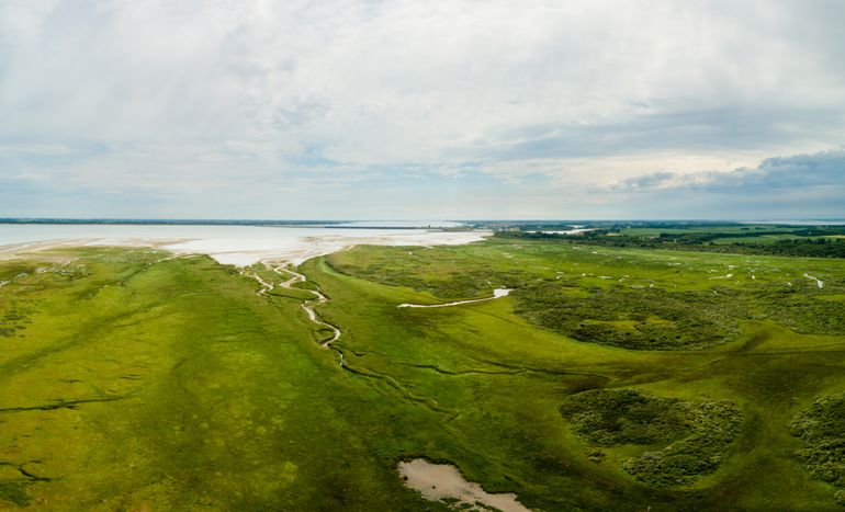 Rond en op het Haringvliet kan zich een delta van wereldklasse ontwikkelen