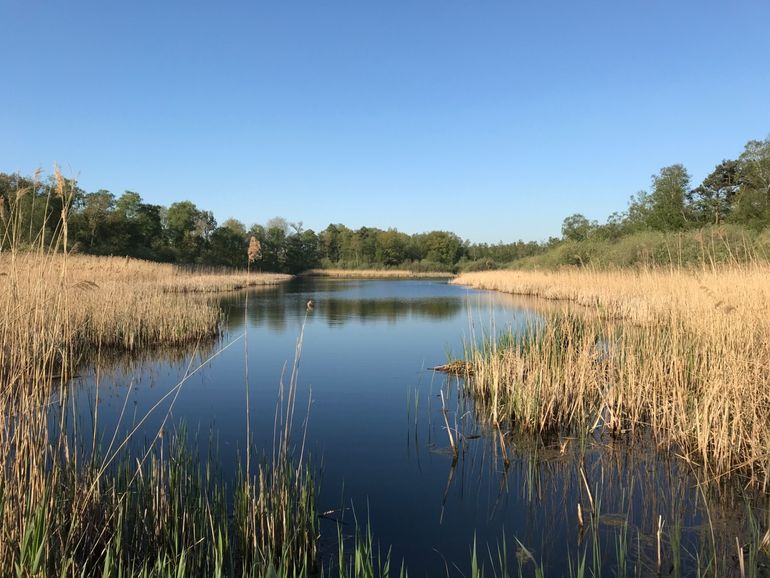 De ‘tussenvijver’, die ook op de kaart staat. Deze hoort ook bij het Greveschutven en ook hier wordt het slib verwijderd