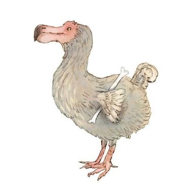 Om de twee weken portretteert Sander Turnhout een planten- of diersoort voor wie ‘het lot van de dodo’ dreigt