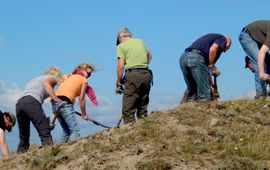 Aan het werk in de natuur - primair