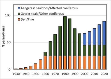 Gereconstrueerd aantalsverloop van Drentse zwarte spechten in dennenbos op stuifzand en productiebos op heideontginning, waarvan in een deel vanaf 2000 vernatting, veel kap en aantasting door bastkevers plaatsvond (aangetast)