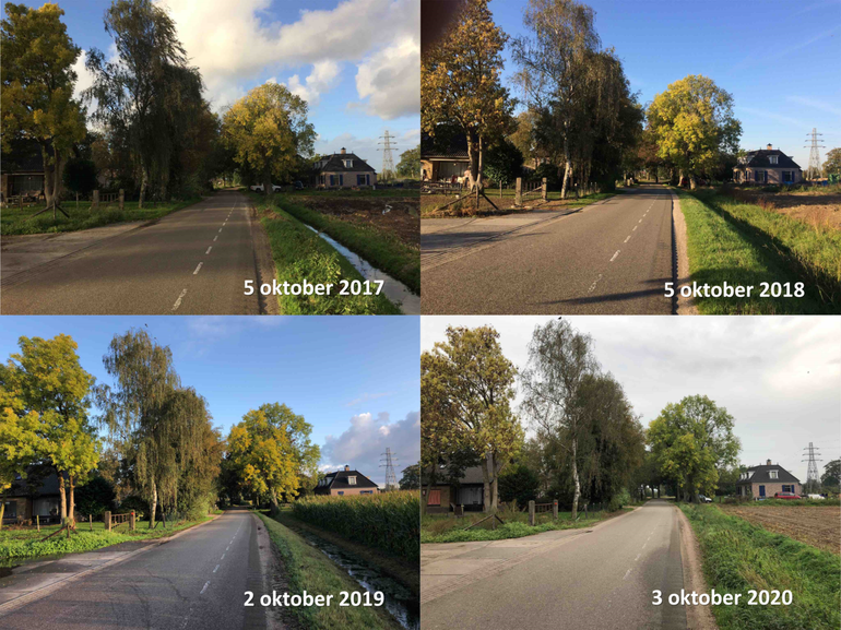 Verschil in mate van bladverkleuring van verschillende boomsoorten (es, berk, beuk) in Bennekom in de eerste week van oktober tussen de jaren 2017 tot en met 2020