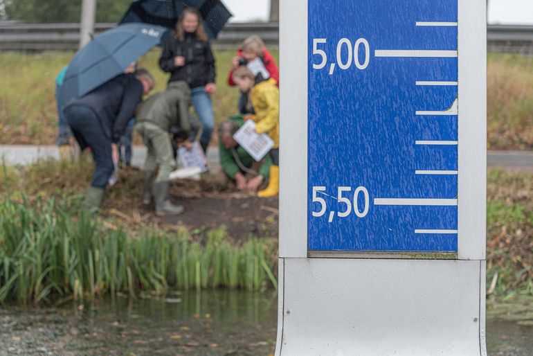 Bodemdieren zoeken in de Zuidplaspolder