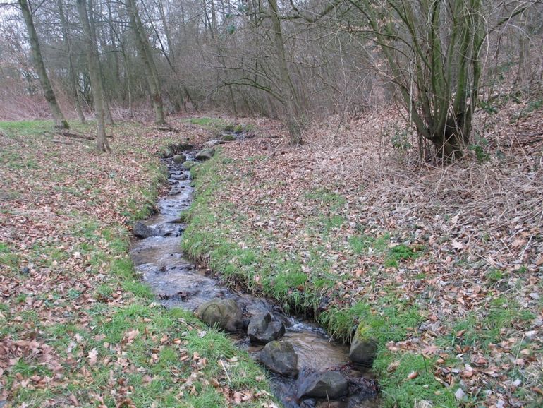 Seelbeek op de rand van de Veluwse stuwwal. De bovenloop van de Seelbeek, een laaglandbeek met stuwwalrandkarakter, verschilt duidelijk van dat van de Oude Strijper Aa in Noord-Brabant (leadfoto) dat een doorstroommoeraskarakter heeft