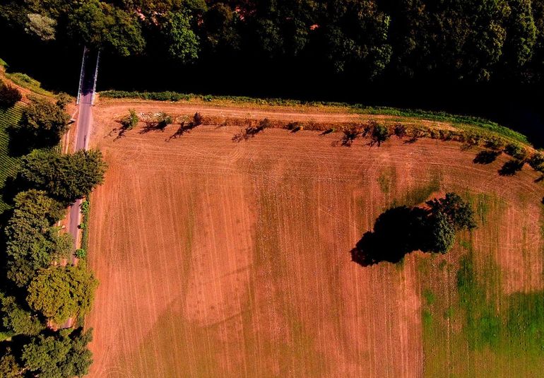 Puntvormige structuren van een laan (links van het midden) werden in een droge periode zichtbaar