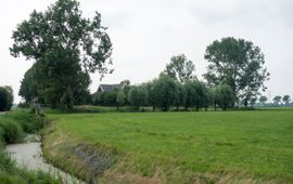Dqfn13, Wikimedia Commons CC BY-SA 4.0 Terp nabij Koningsweg, Barsingerhorn, Noord-Holland