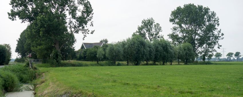 Terp nabij Koningsweg, Barsingerhorn, Noord-Holland