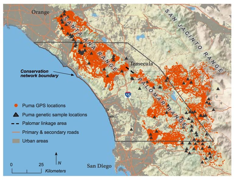 Conservation area and puma locations in Southern California