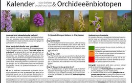 Mark Meijrink Orchideeënkalender