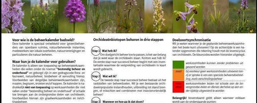 Orchideeënkalender