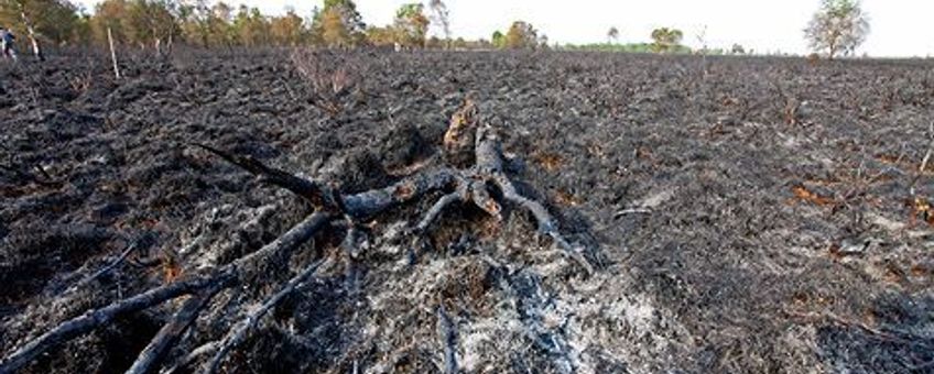 verbrand fochteloerveen - Jelger Herder ravon