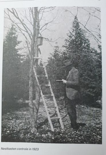 Koolmeesonderzoeker van de Plantenziektekundige Dienst rond 1930