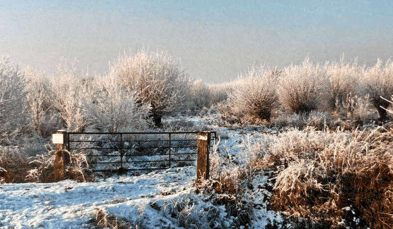 Het landschap levert het hele jaar door unieke plaatjes op