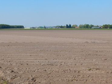 Als dit voorstel wordt aangenomen gaat er de komende zeven jaar weer vooral geld naar de grote industriële landbouw