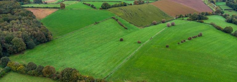 Agrarische gronden worden rijk bemest voor een goede opbrengst van grassen en gewassen. Deze rijkdom aan voedingstoffen is echter niet gunstig voor de kruiden en grassen die hier van nature groeien. Verschralen is een manier om ervoor te zorgen dat de bodem weer geschikt wordt als natuurgrond. Dit gebeurt door regelmatig op het juiste moment te maaien en het maaisel af te voeren. Zo onttrek je overtollige voedingsstoffen langzaam aan de bodem