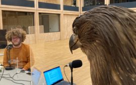 Vroege Vogels Zeearend met Auke Florian Hiemstra