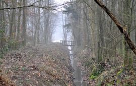 Bosgroepen Stilliwald watergang