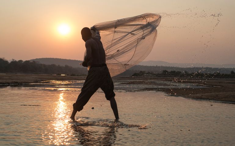 Visser in Zambia