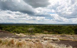 Zicht op Kasungu National Park, bezien vanaf de weg die Kasungu National Park in Malawi linkt met Lukusuzi National Park in Zambia.