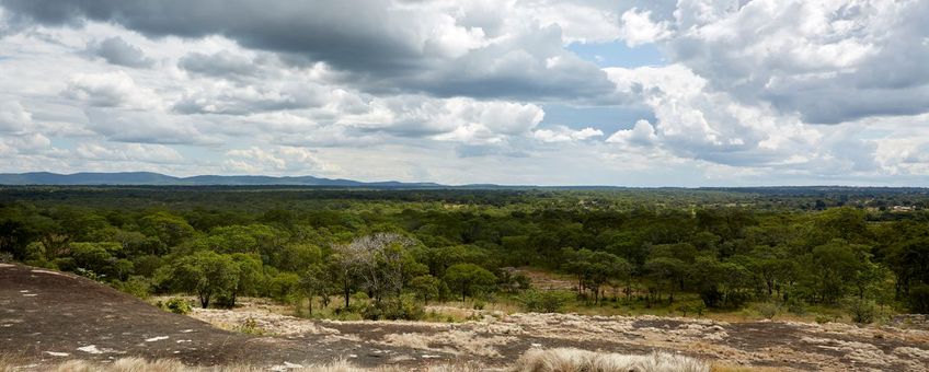 Zicht op Kasungu National Park, bezien vanaf de weg die Kasungu National Park in Malawi linkt met Lukusuzi National Park in Zambia.
