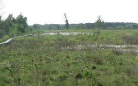 Jeroen Kusters, Provincie Gelderland Panorama van veen en plankenpad, aug 2013