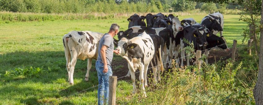 Melkveehouder Kees Fonken - eenmalig gebruik