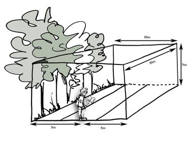 Transectmonitoring