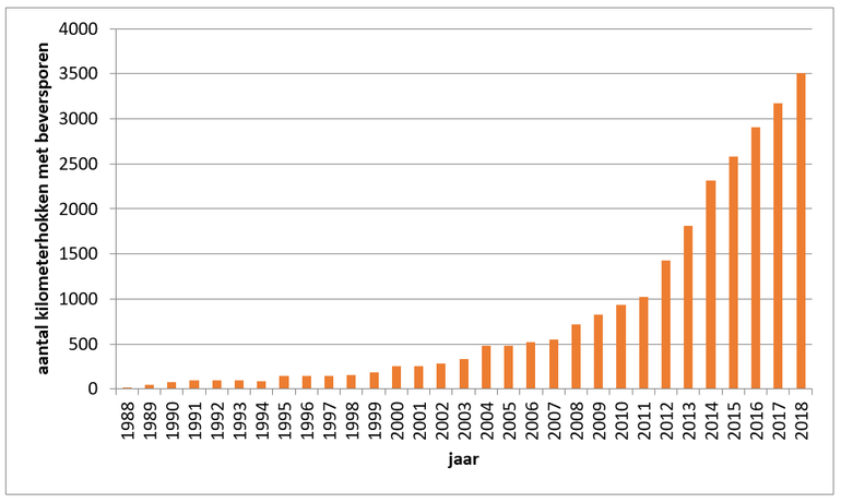 Figuur 2. Ontwikkeling van het aantal kilometerhokken met beversporen in Nederland in de periode 1988-2018