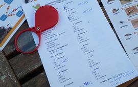 NIOO-KNAW Formulier Bodemdierendagen