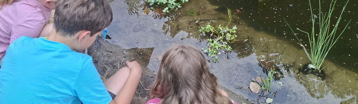 De Tiny Poel bij de 1e van der Huchtschool in Soest