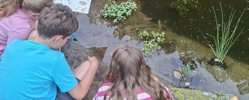De Tiny Poel bij de 1e van der Huchtschool in Soest