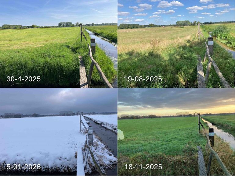 Weilanden van Wageningen University & Research aan de noordzijde van de campus