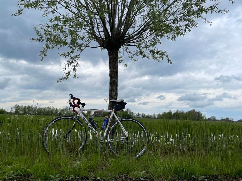 Even afstappen onderweg om een boom te bewonderen