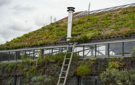 Groene woning met diverse beplantingen bij Universal Greenfields in Katwijk