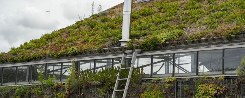 Groene woning met diverse beplantingen bij Universal Greenfields in Katwijk