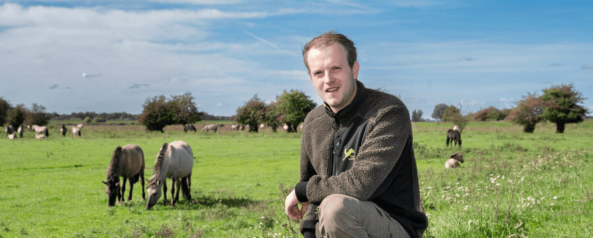 Kuddebeheerder Juleo Litjens in de Elster Buitenwaarden, met op de achtergrond de konikpaarden