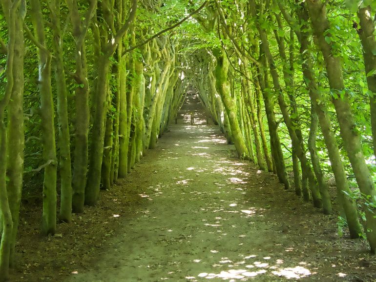 De Groene Bedstee op buitenplaats Mariëndaal in Arnhem