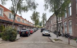 De met berken beplante 'Os en Paardenlaan' in Leiden, een voorbeeld van een straat met zeer sterk allergene bomen.