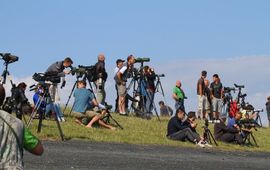 Wietze Janse, Dutch Birding Assocation Vogelaars bij Lauwersoog kijkend naar de kortbekzeekoet, 29 juli 2012