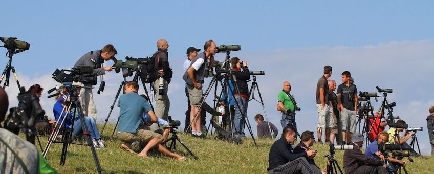 Vogelaars bij Lauwersoog kijkend naar de kortbekzeekoet, 29 juli 2012