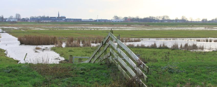 De Himpensermarpolder