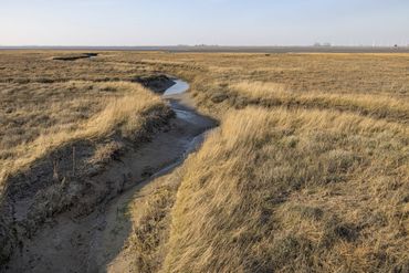 Geul in de schorren