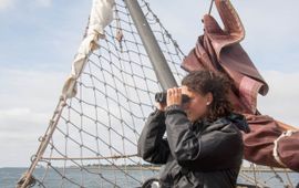 Nathalie op zoek naar bruinvissen