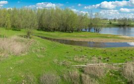 Fokko Erhart, FREE Nature Gelderse Poort